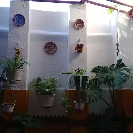 Homestay Cerca De Sevilla, Aerodromo, Bosque Suspendido